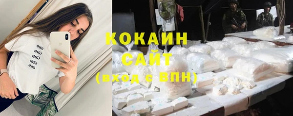 молекула духа Волоколамск