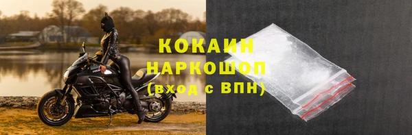 индика Володарск