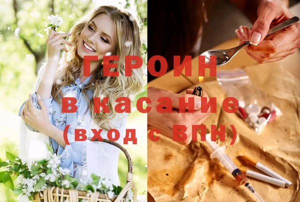 индика Володарск