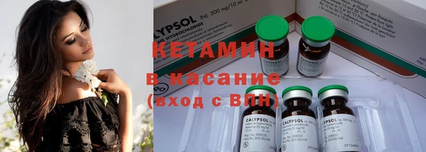 индика Володарск
