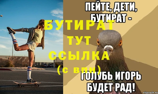 индика Володарск