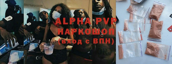 индика Володарск